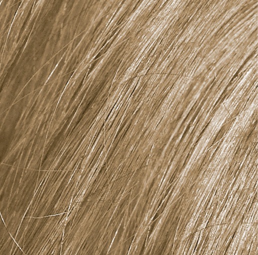 High Lift Ash Blonde